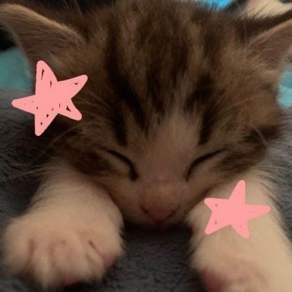 maruza 🎀