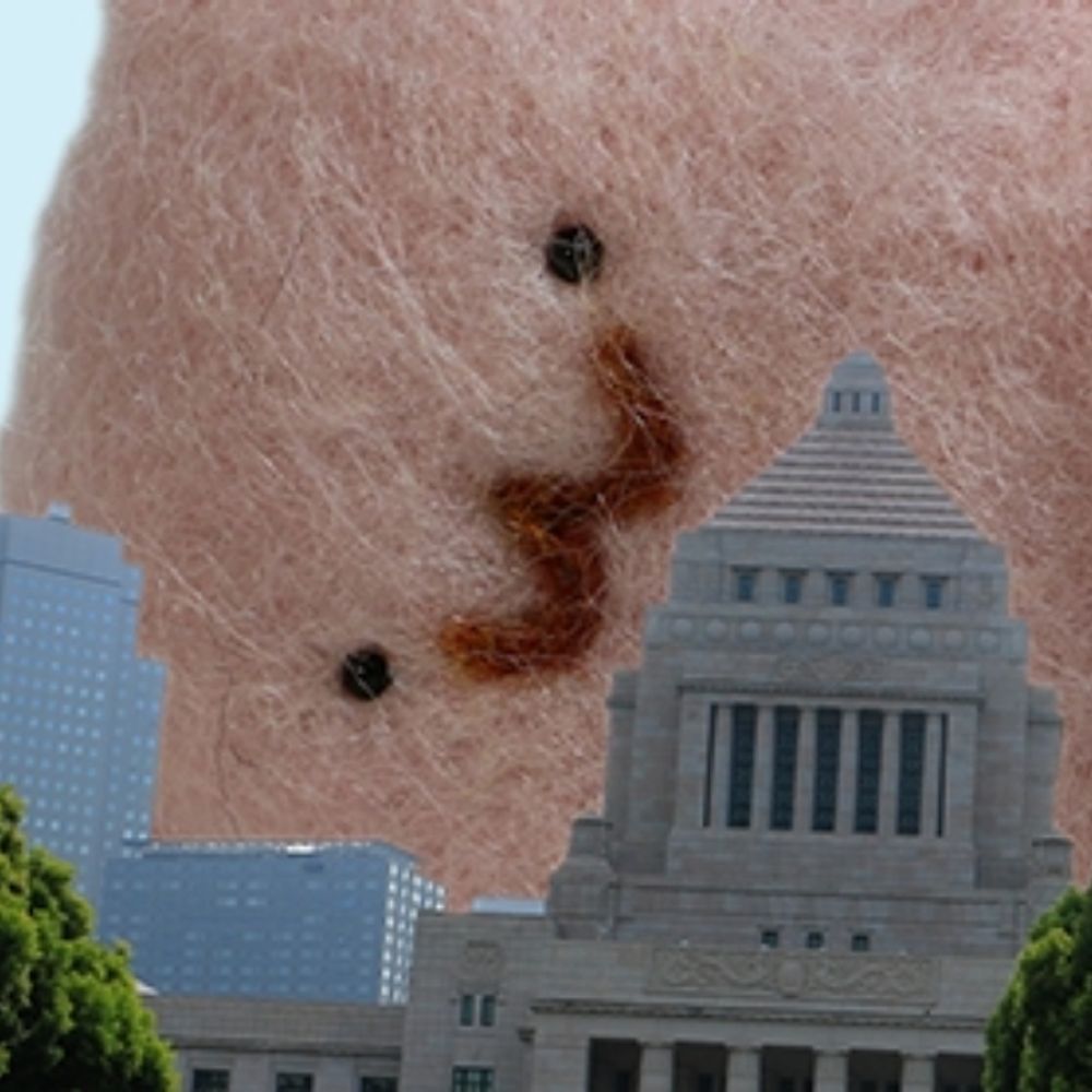 しん