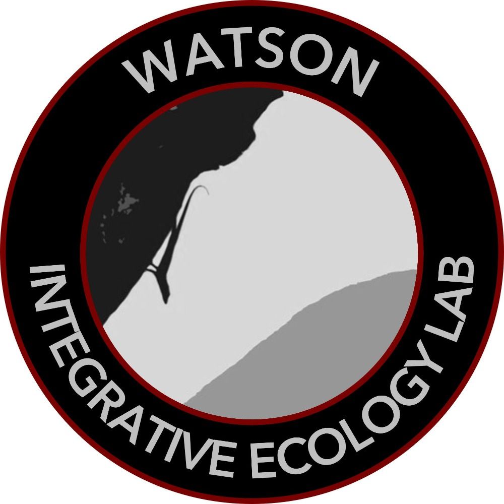 The Watson Lab