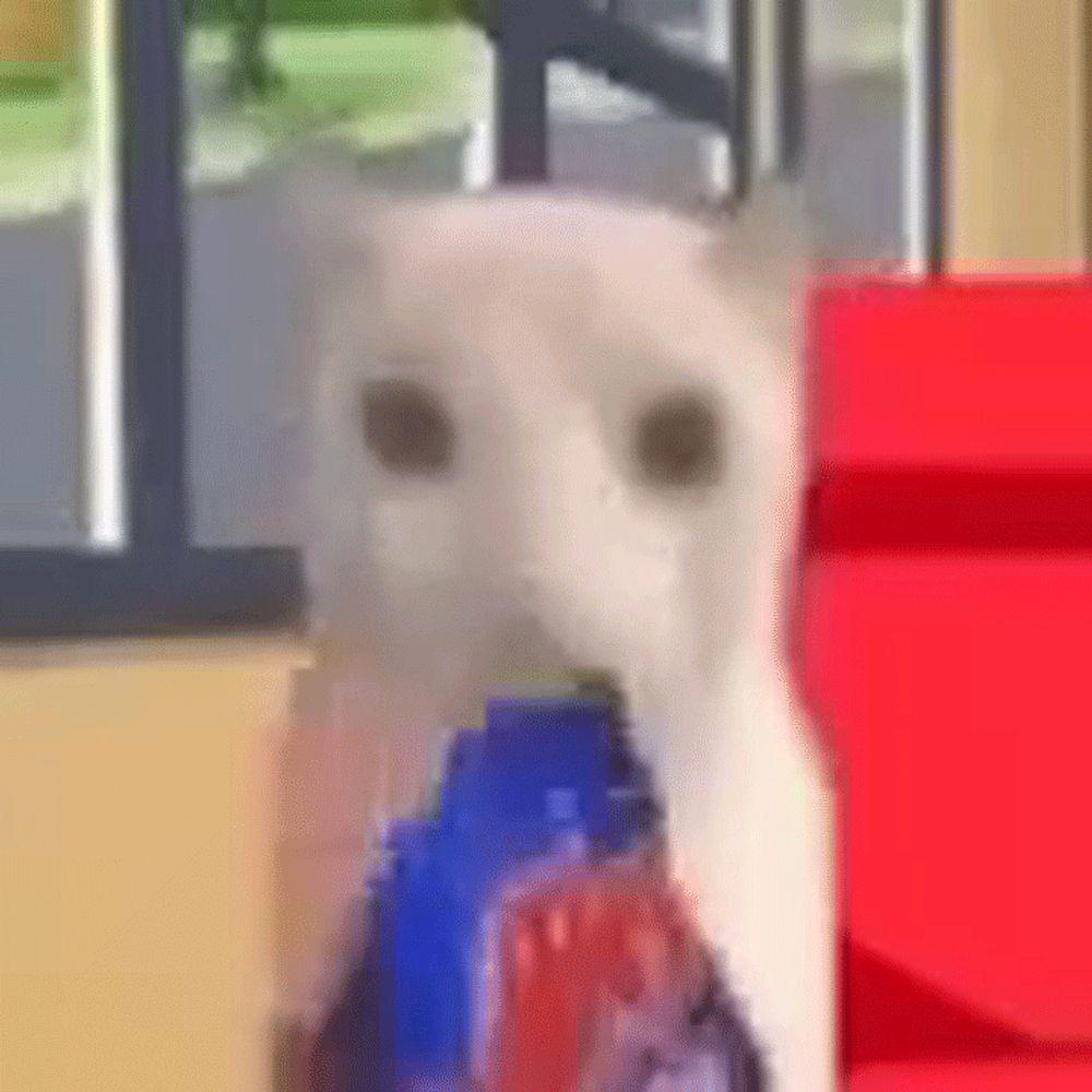 Neoru 