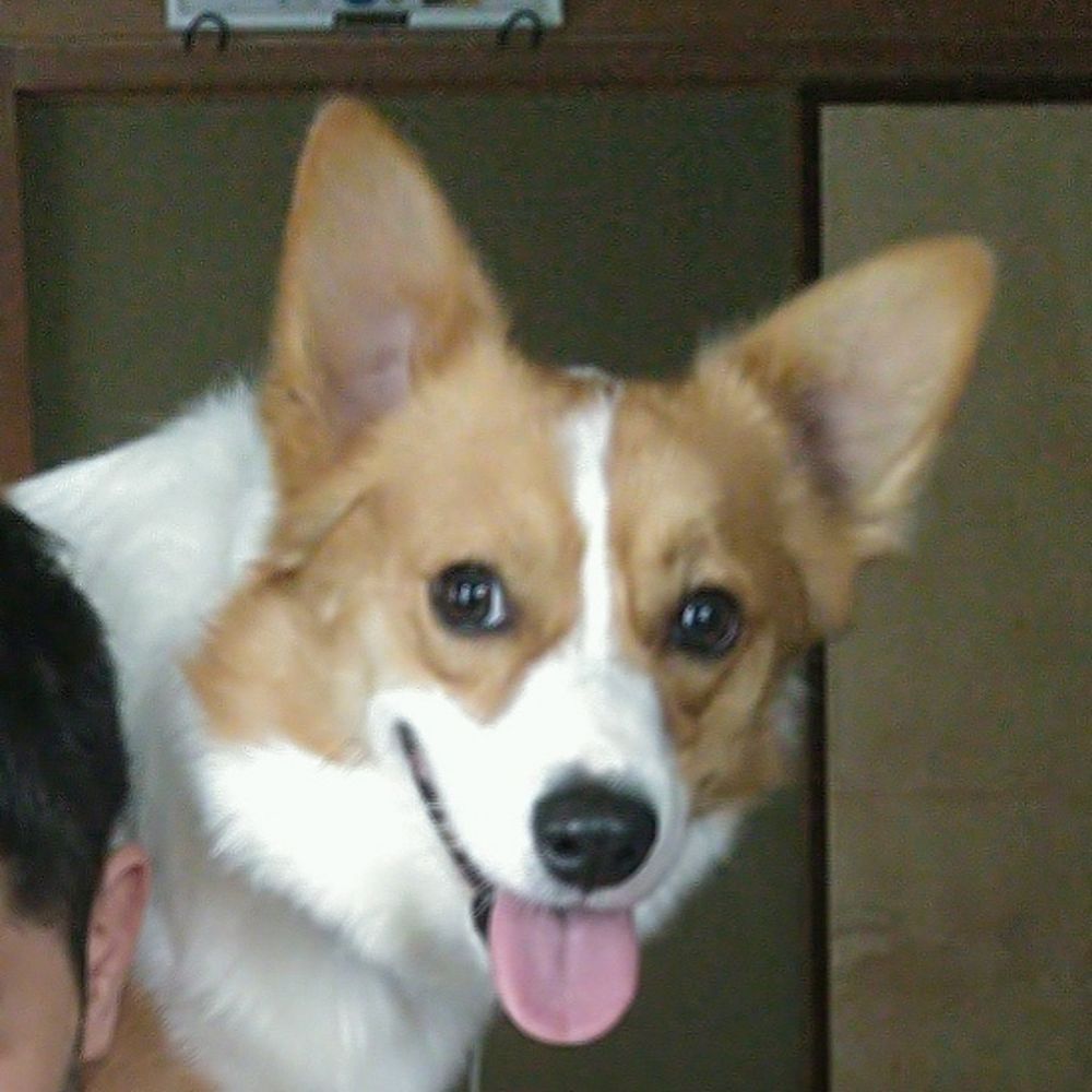 阿宮悠維