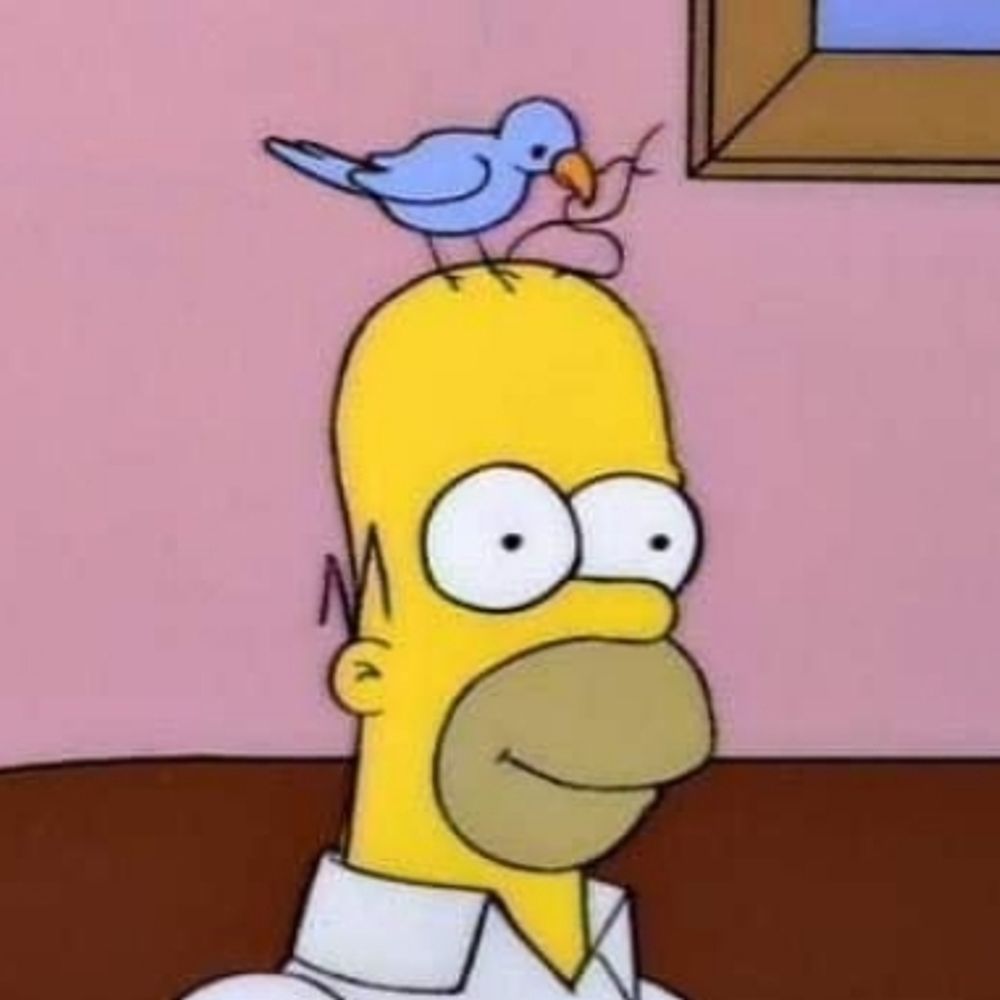 Holger (ohne 🐦)