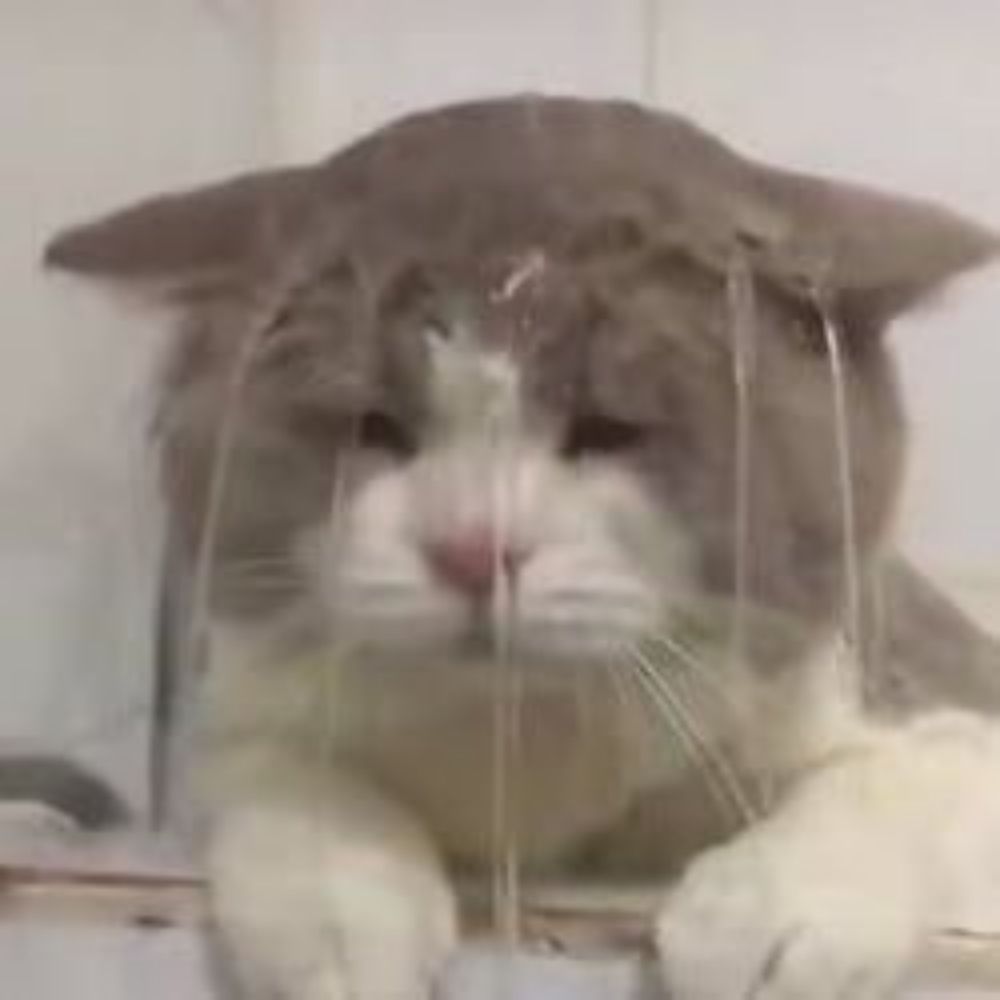 히리
