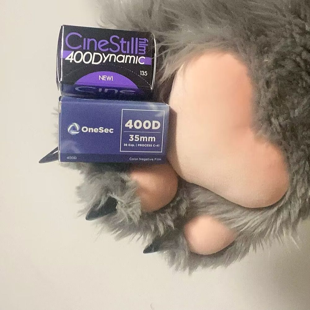 cosine400d