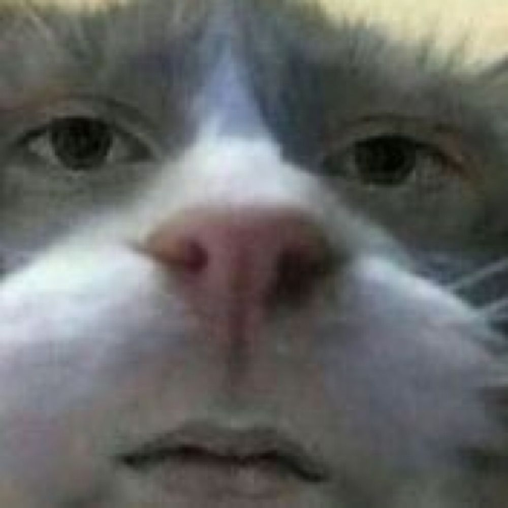 dywa