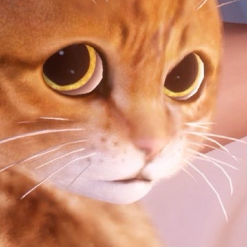 쑨