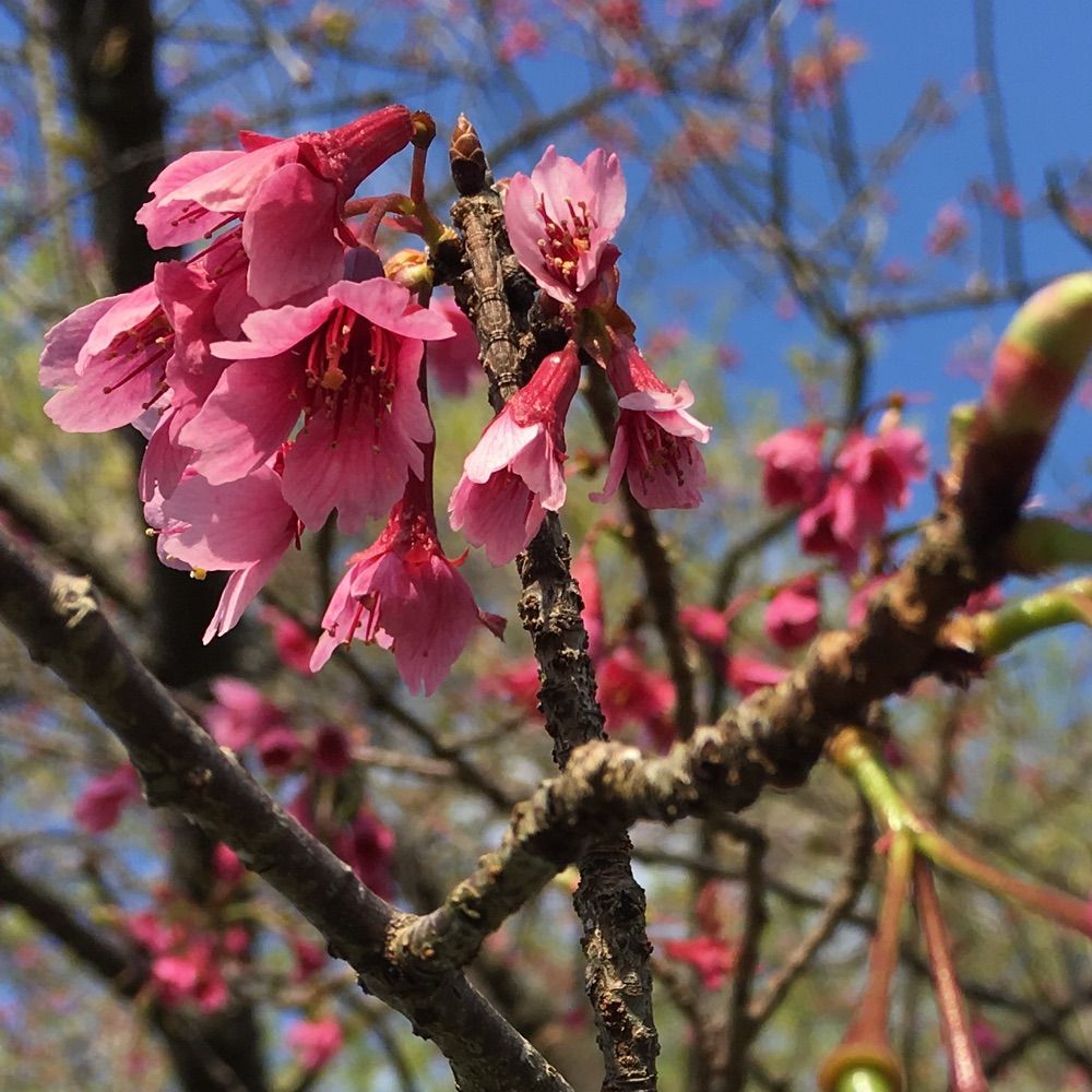 5月