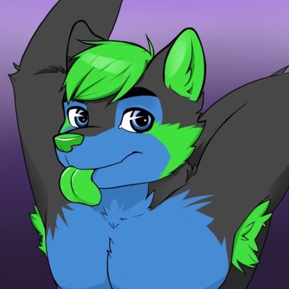 Techie Husky