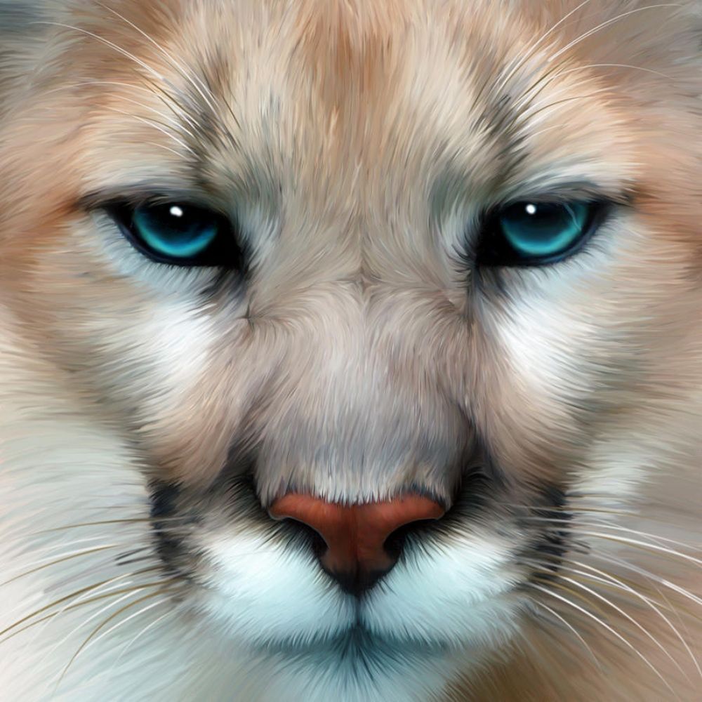 Bleu Puma
