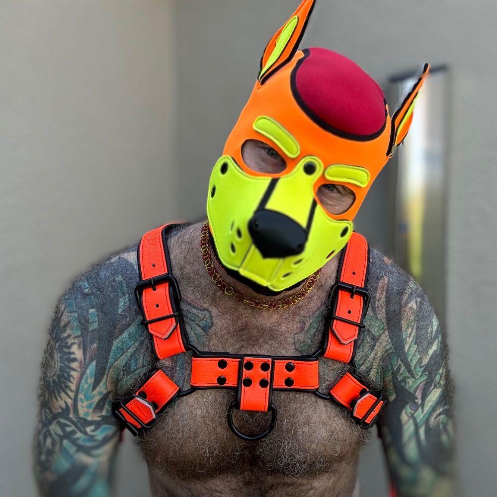 Profile avatar