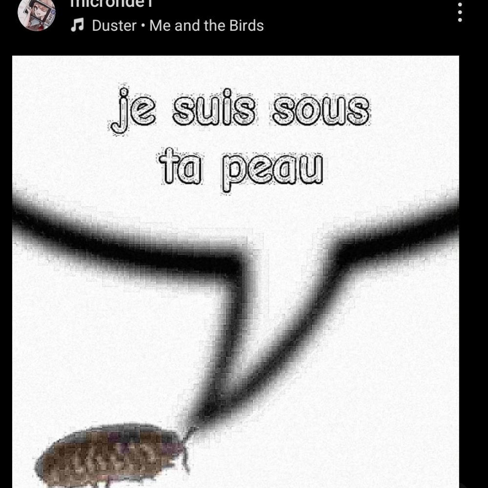 User avatar