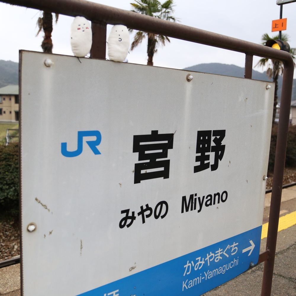めぐやん