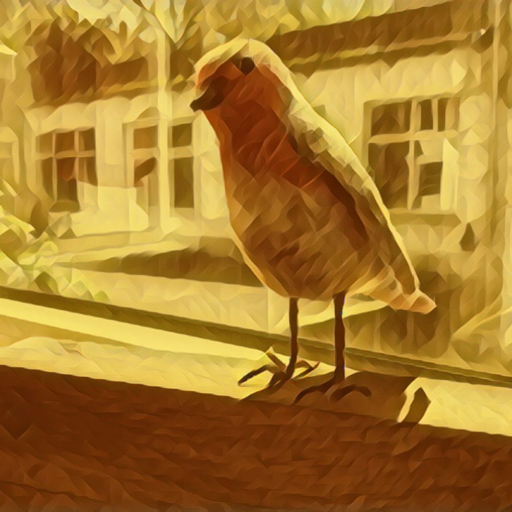lassdasluise