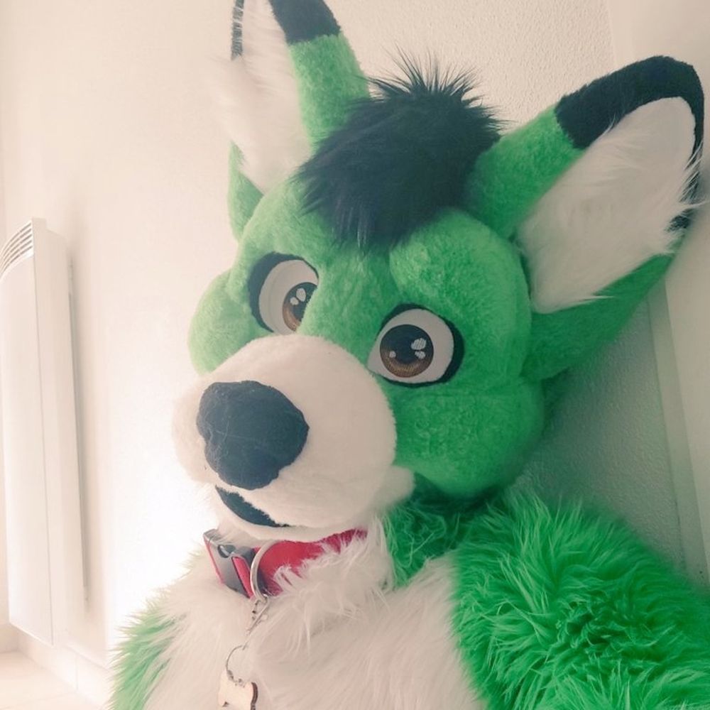 Wolfside The Wolfdog 💚🐺🐶