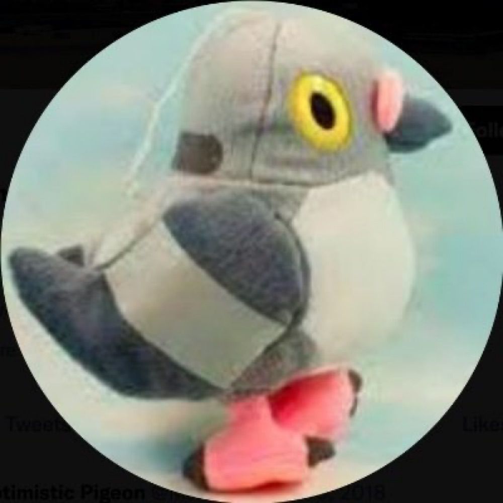 Popmaster Pigeon