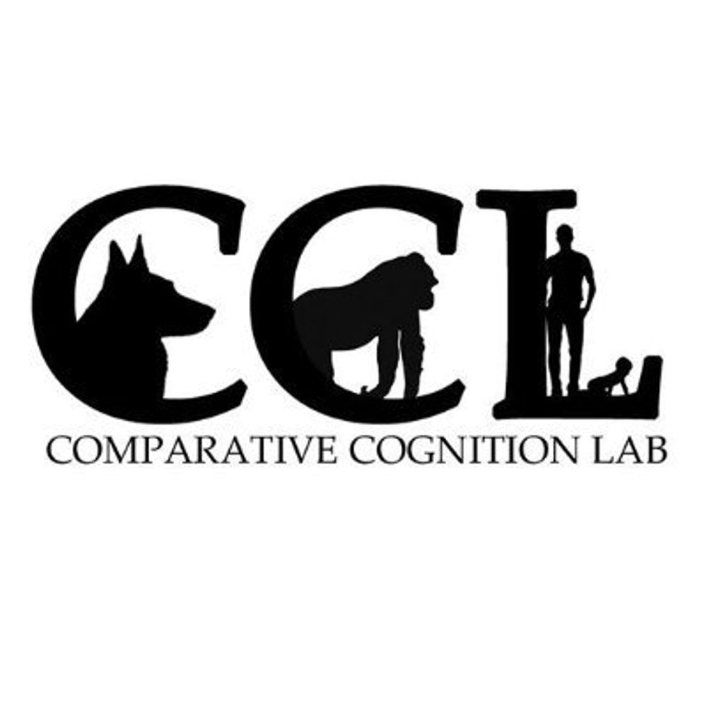 Comparative Cognition Lab @ UC San Diego