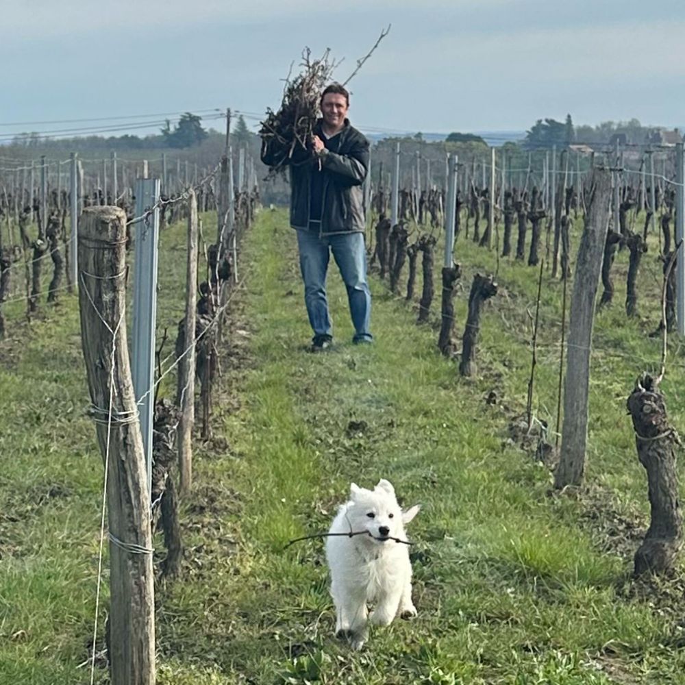 Vignobles Cardoso