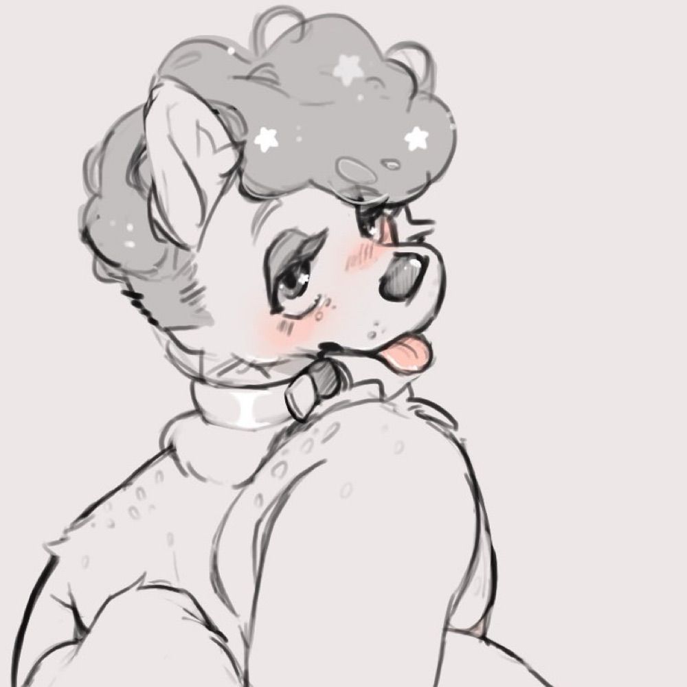 horny doggy 🐶✨
