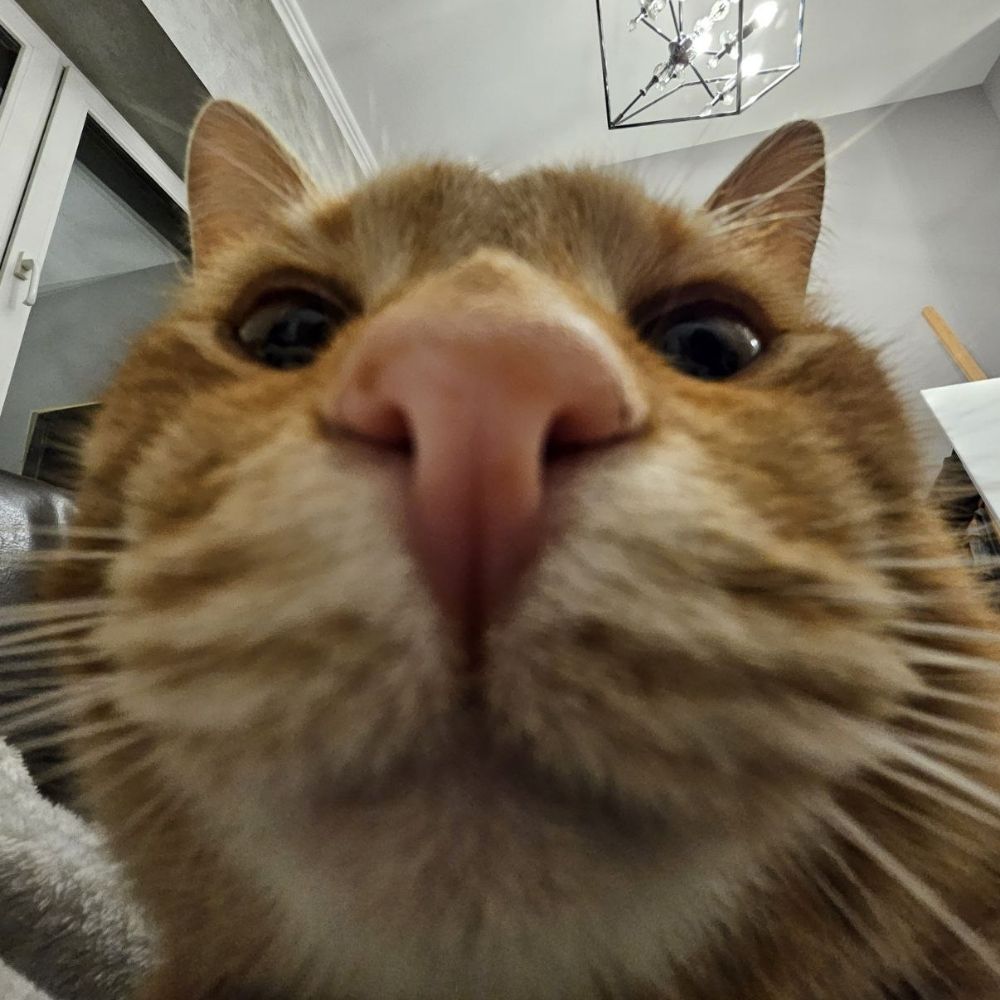 PIPSA 
