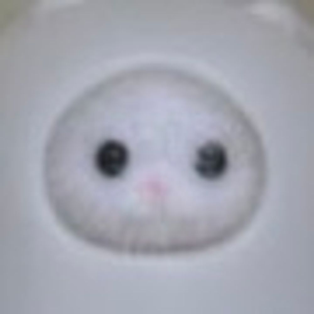 ちゃみー