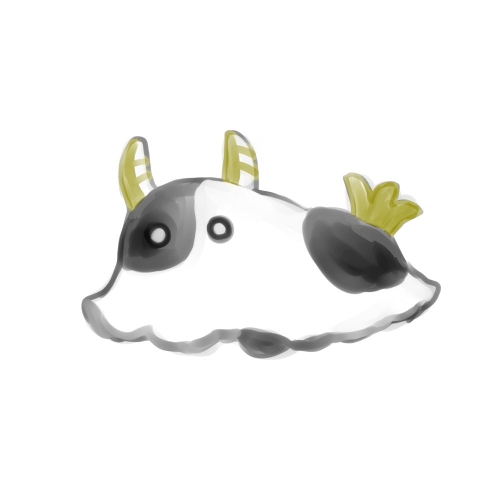 ひざこ