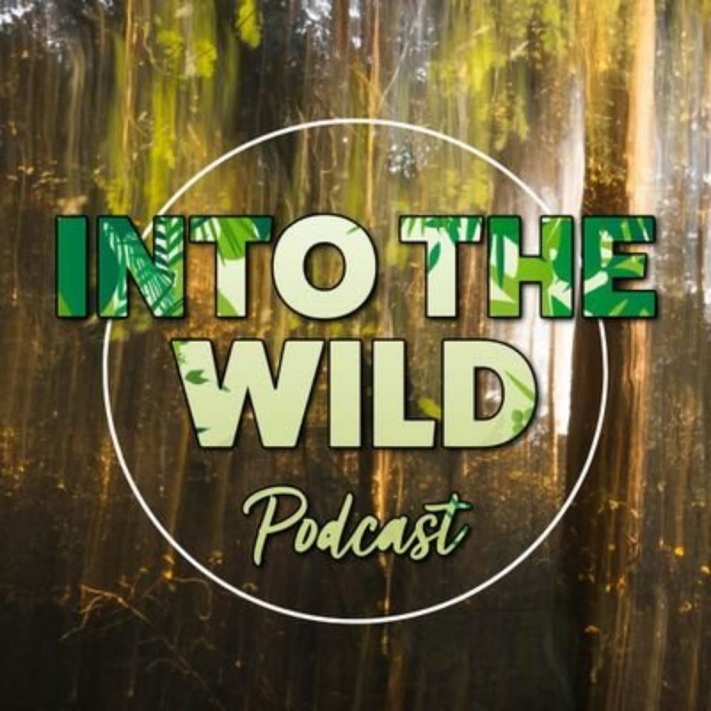 Into The Wild Podcast
