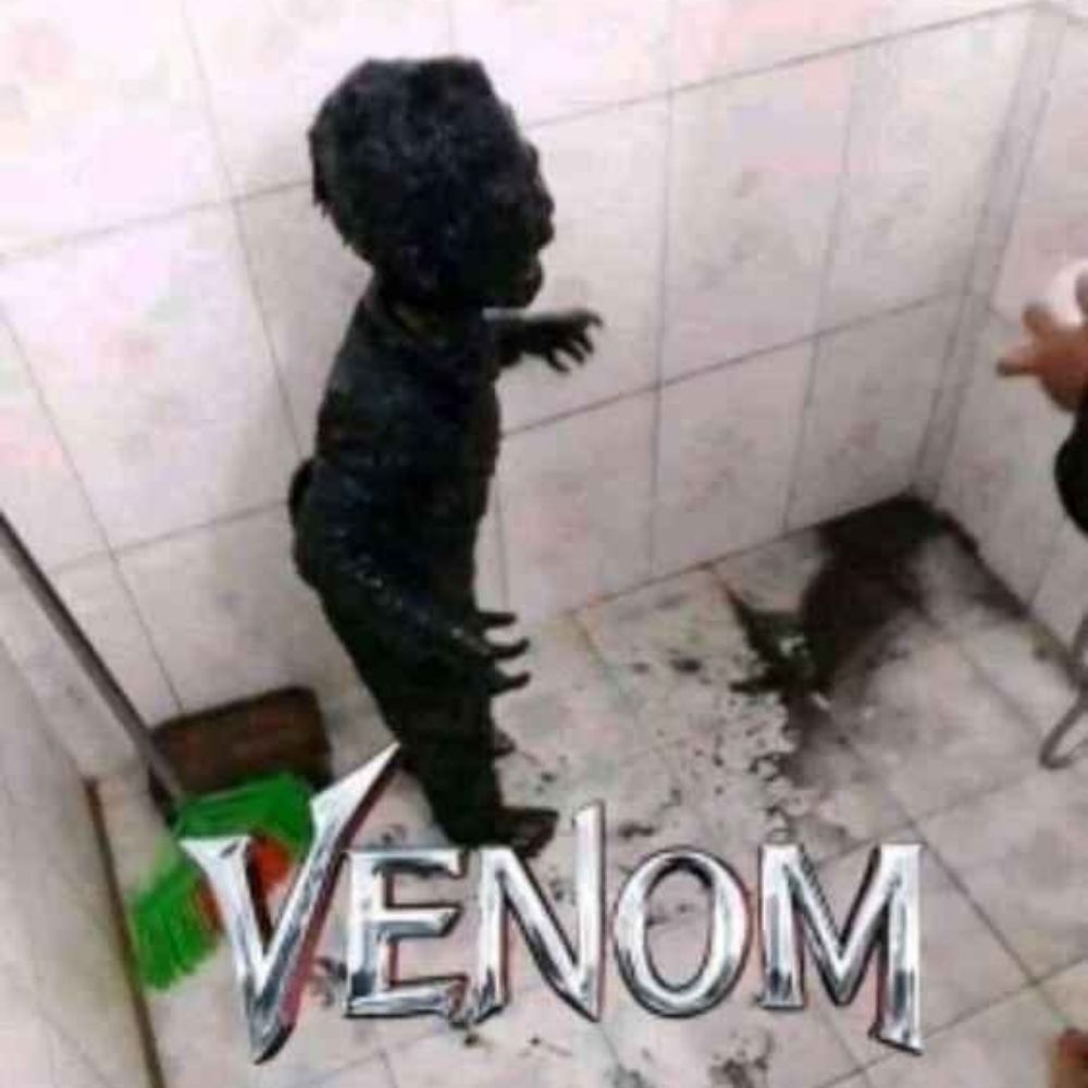 Cucetinha