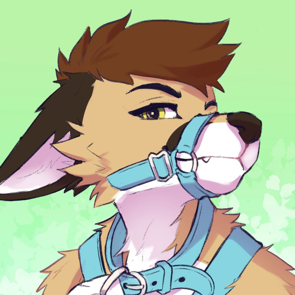 Knotty Fox 💦