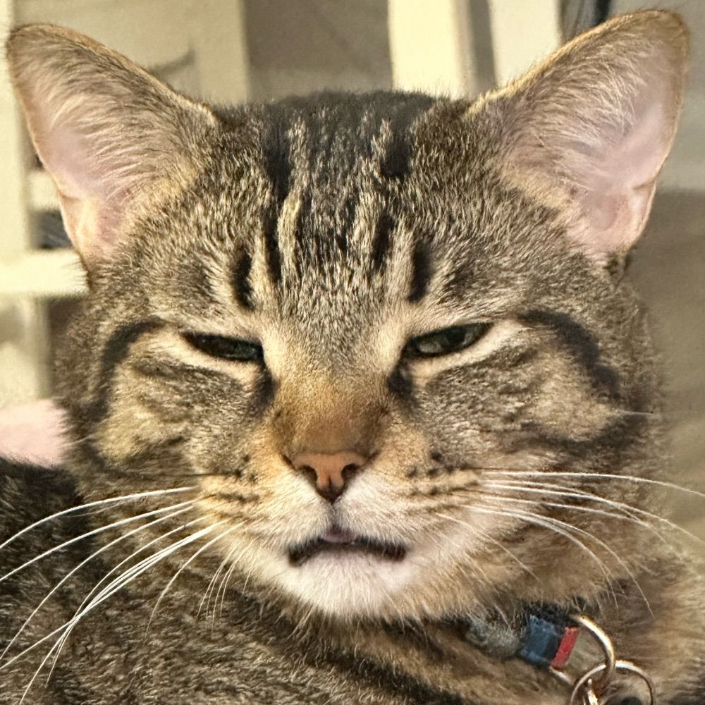 Remmy