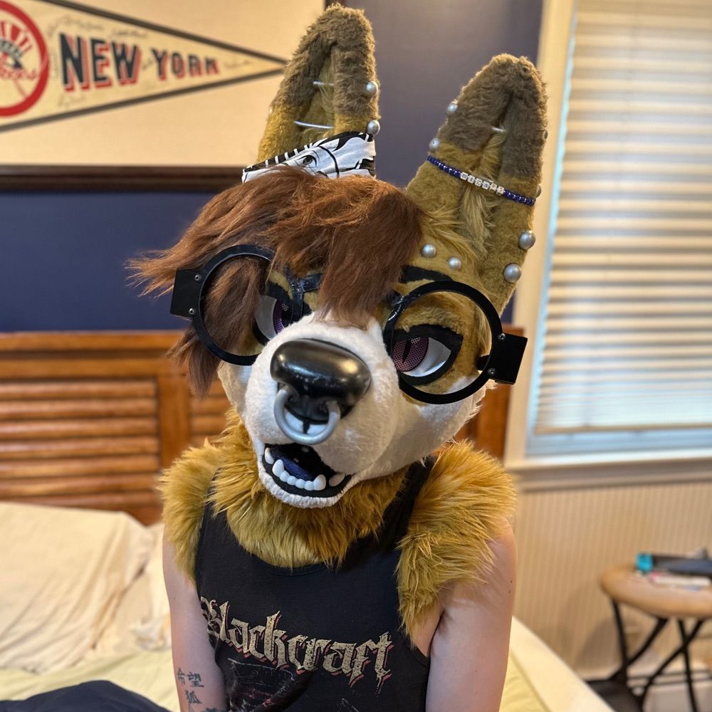Pretty Fox Khrys ❤️