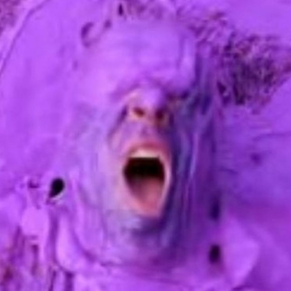 i eat dirt