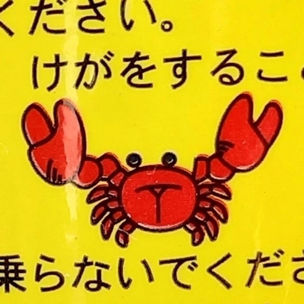石竹