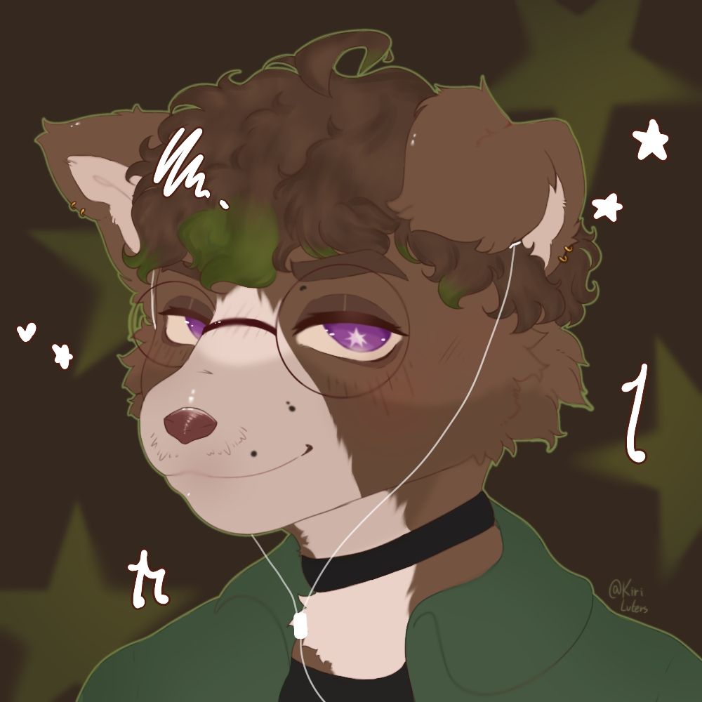 Bored Kollie