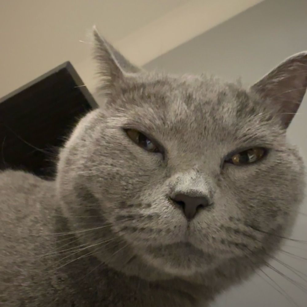 Lulu 