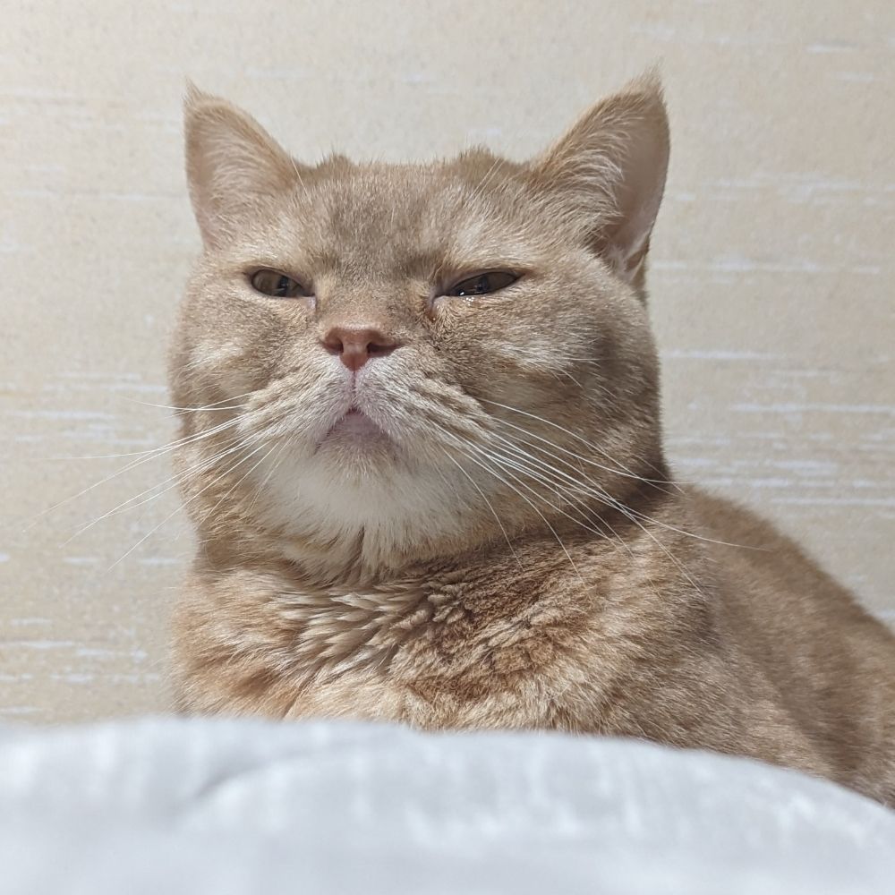 おまる丸/つけもの