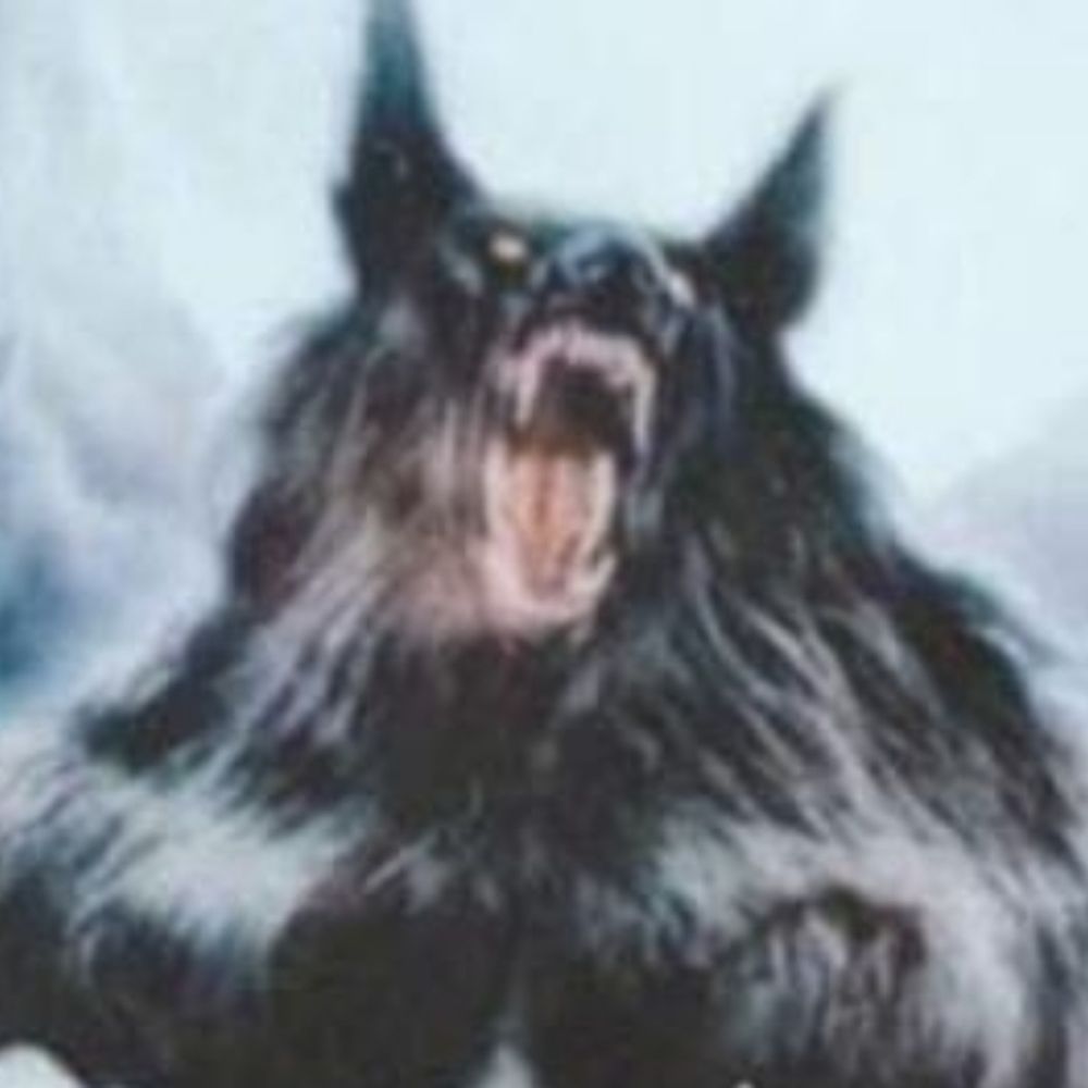Animajuls