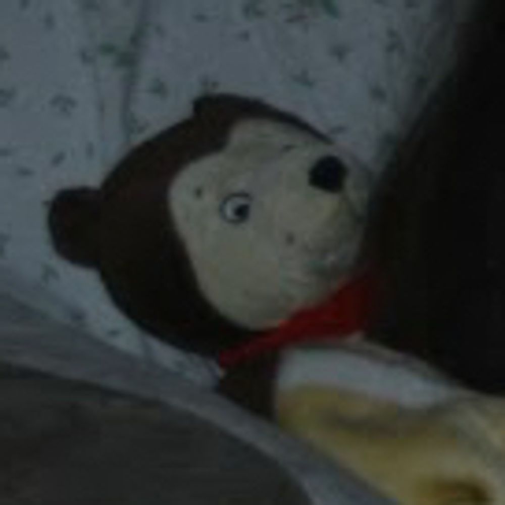 HunniBear