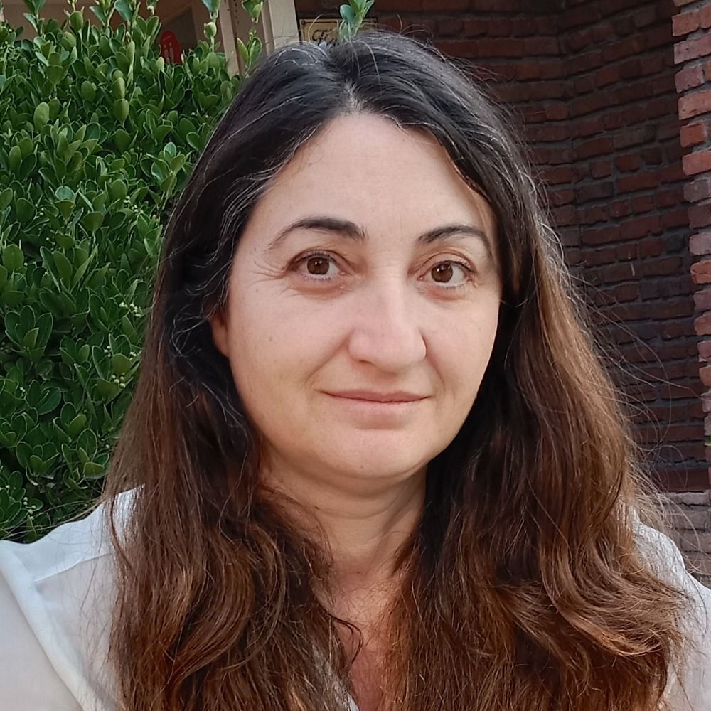 Ayşe Çelikkol's avatar
