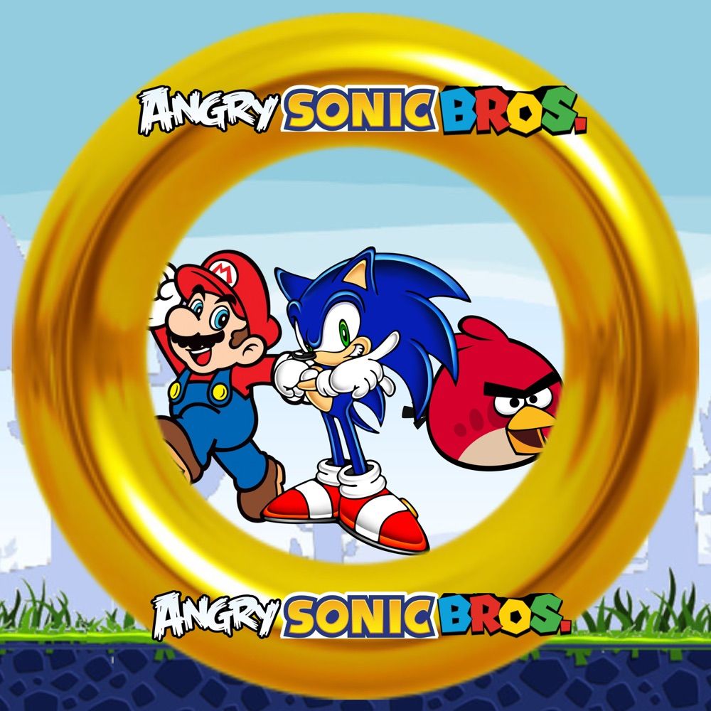 AngrySonicBros