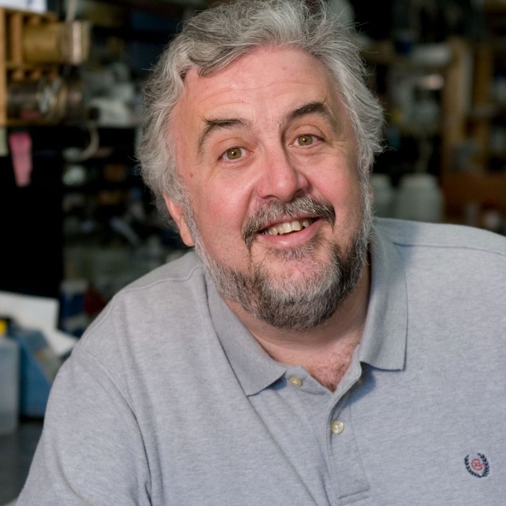 Tim Donohue