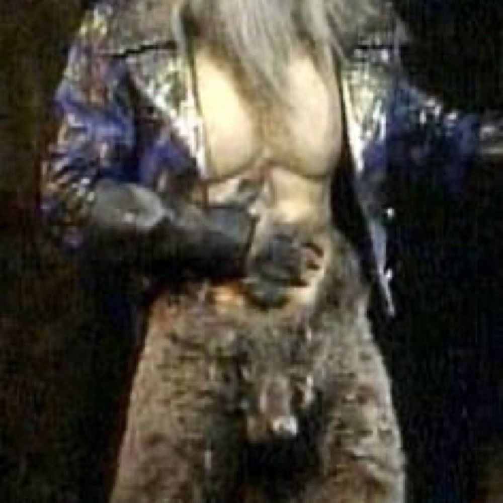 swallowingwolf