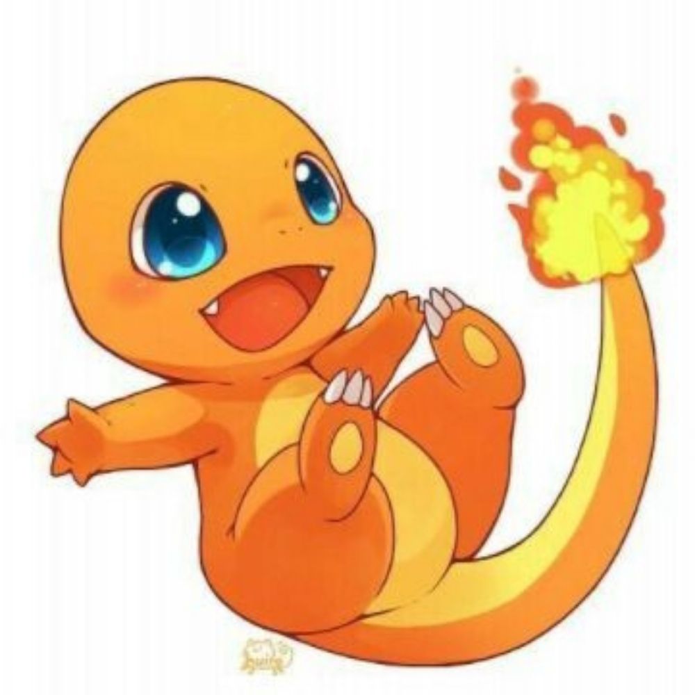 Charmander Bolado