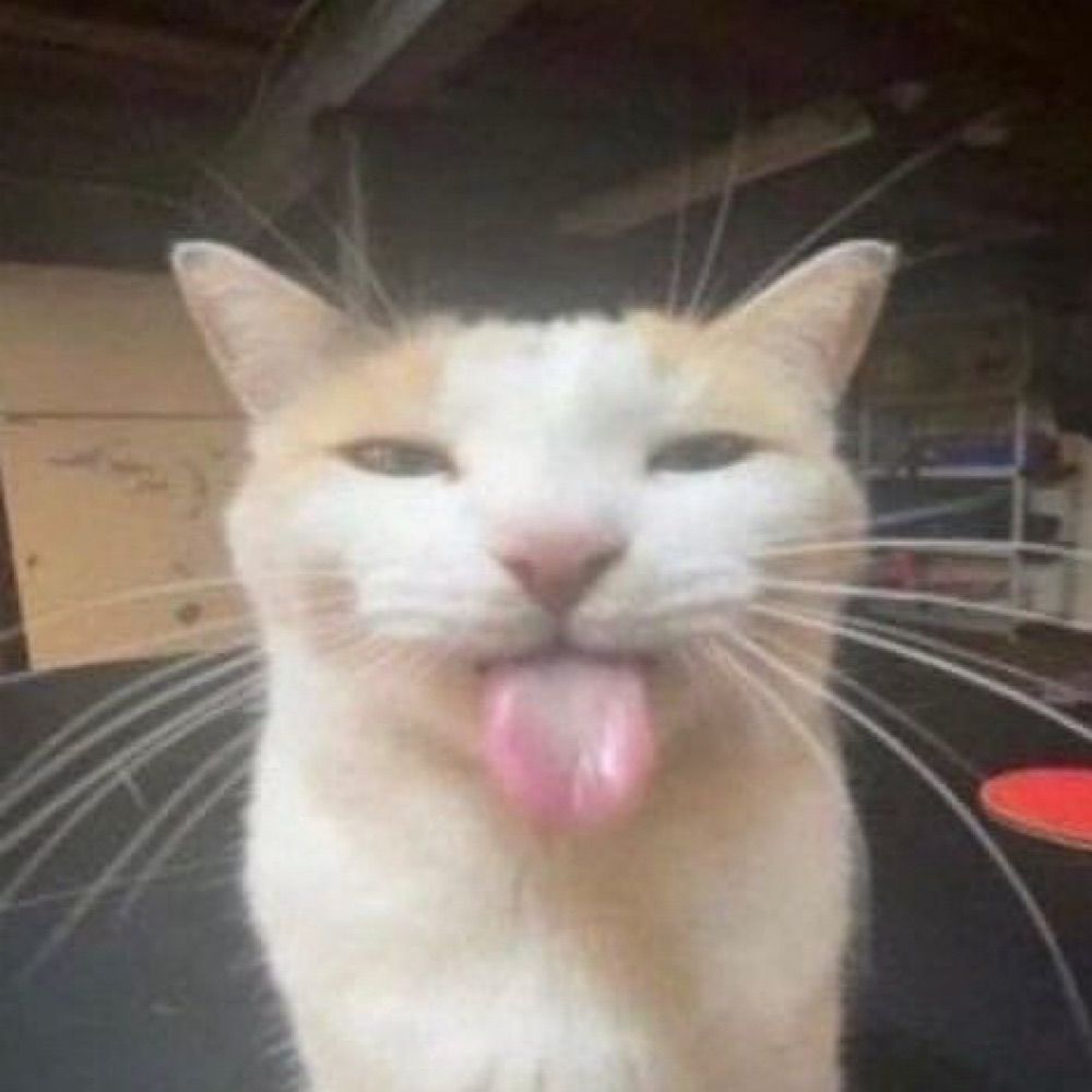 лит