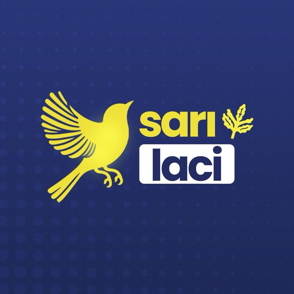 🟡sarı-laci🔵
