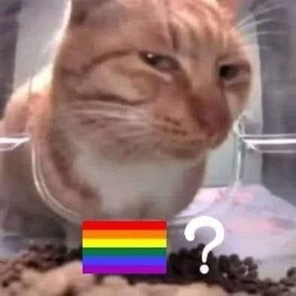 Your Fav is LGBTQ+!!