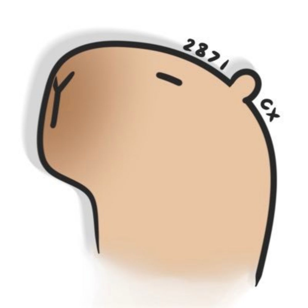 欣