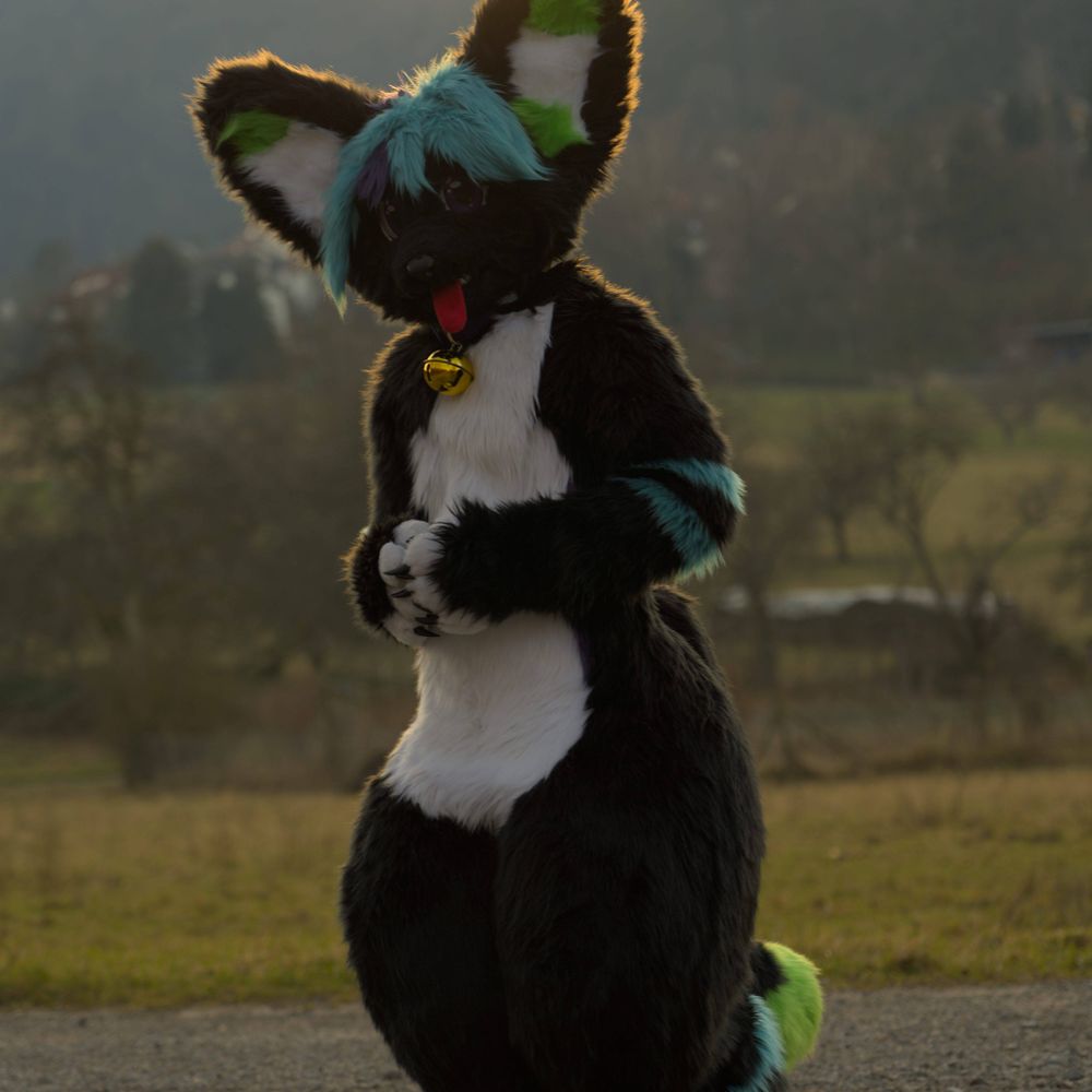 Kaiya