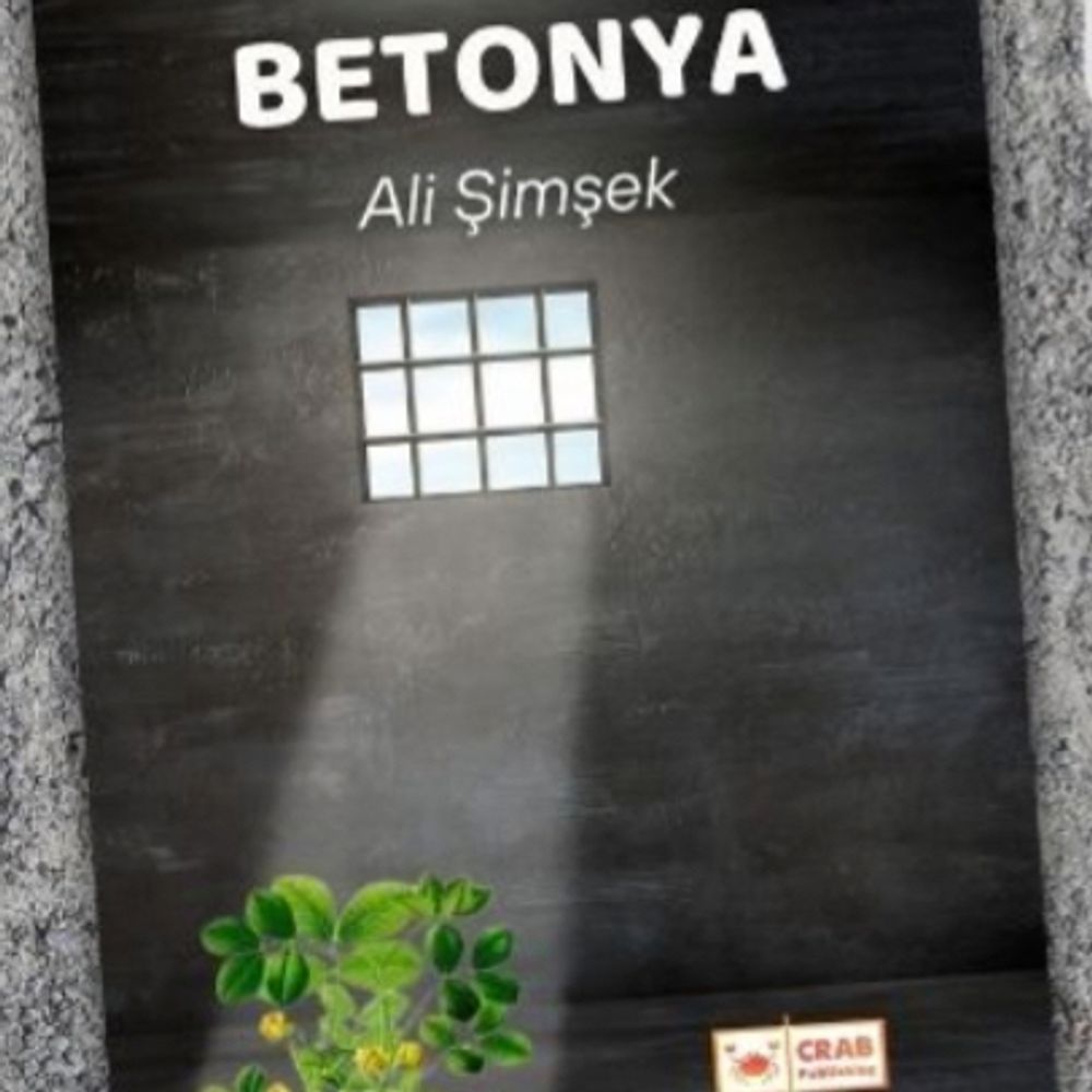Ali Şimşek