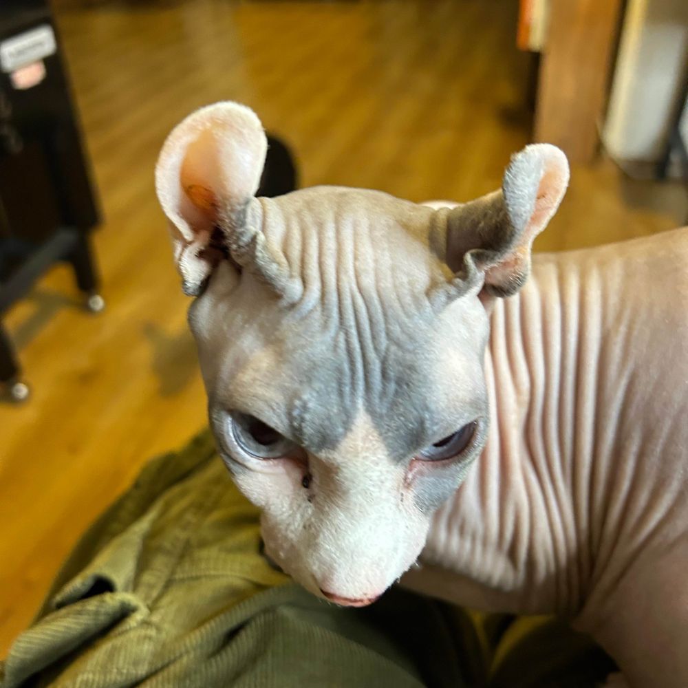 furkan
