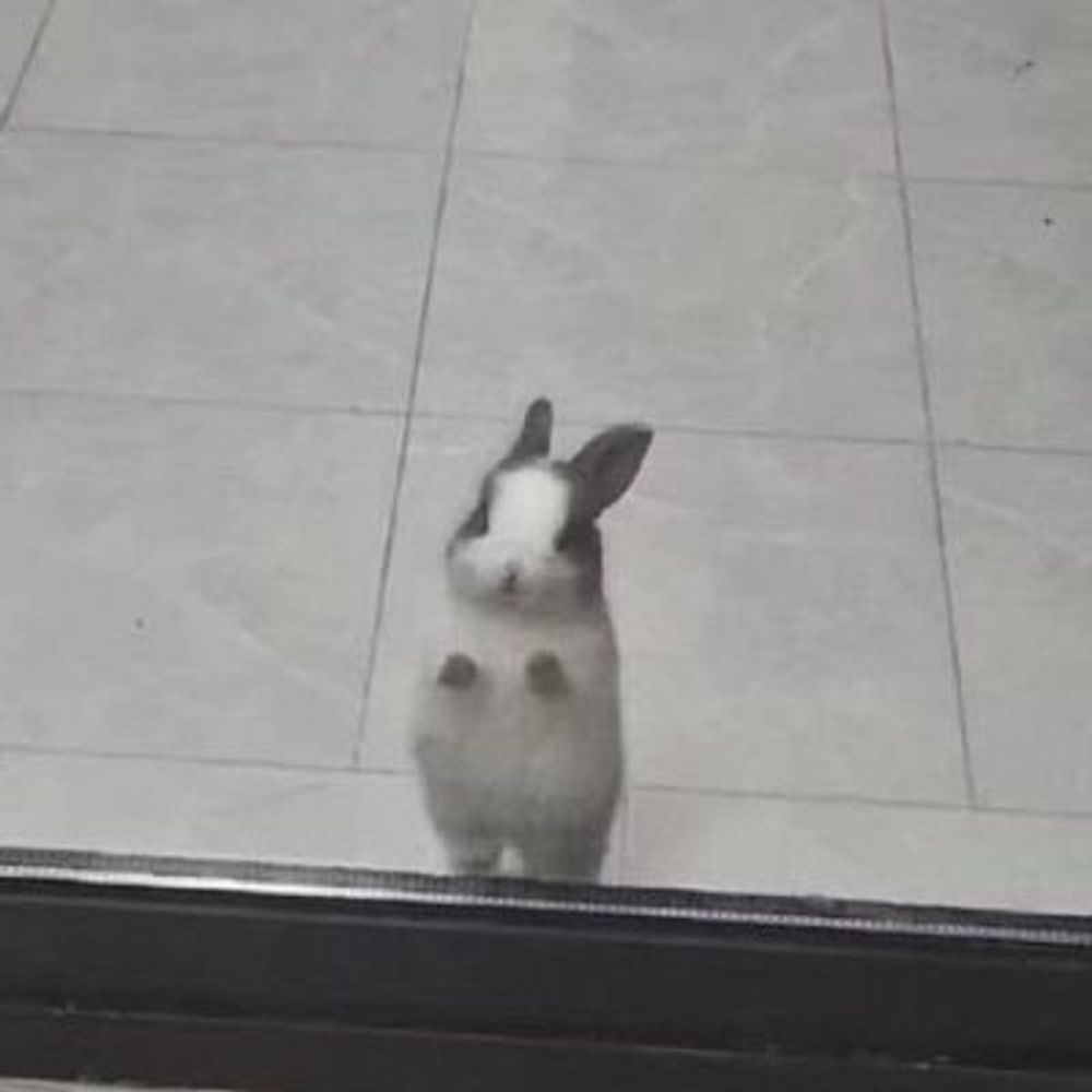 동결방지 부적